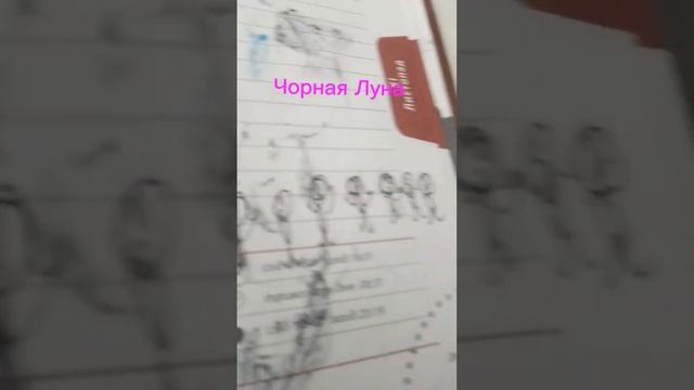 Мини-клип ꧁Ненавиденье друг друга꧂ смотреть онлайн