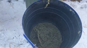 ОБЗОР УНИВЕРСАЛЬНЫЙ ИЗМЕЛЬЧИТЕЛЬ 5 в 1 ДКУ - 05 АДОНИС!!! 0