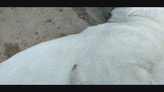 мы Поехали В Клинику  we went to the clinic