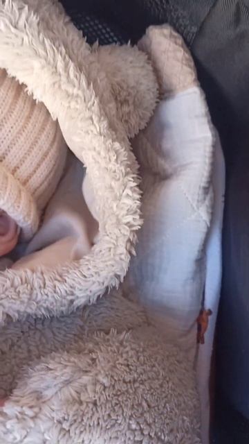 🐱наш маленький котик 😻#зима2024 #моймалыш #мишка #котик смотреть онлайн