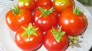 Помидоры. Как выращивать. Помидоры на окне. На подоконнике. Балконный, домашний сорт. Черри. Лайфхак