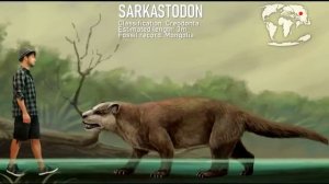 Сравнение размеров животных палеогенового периода с человеком