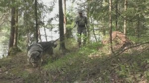 ТО-ЖЕ МЕСТО... ТО-ЖЕ ВРЕМЯ...Май  2025 г.😎