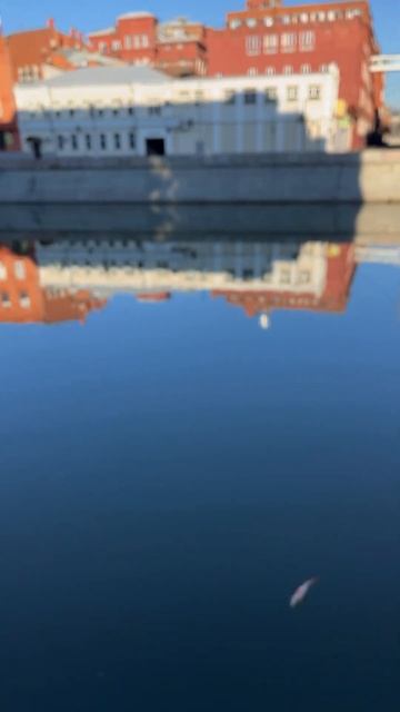 Раздача рыбы на водоотводном канале. Рыбалка в центре Москвы. Последний день перед запретом. Окунь. смотреть онлайн