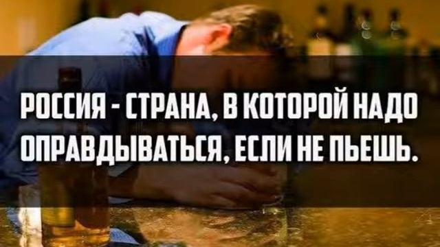 Самые смешные лучшие новые приколы. смотреть онлайн