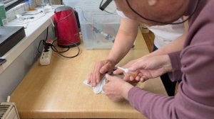 Запор или как мы ставили клизму дискусу.