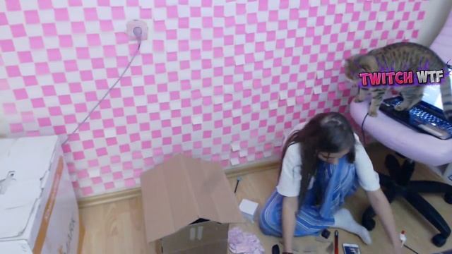 Топ Моменты c Twitch | ДОНАТ 500 000 RUB 😨 | Карина Бомбанула | Звонок Деду Морозу смотреть онлайн