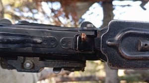 Охота на медведя весна 2025