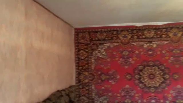 VID-20250525-WA0007 смотреть онлайн