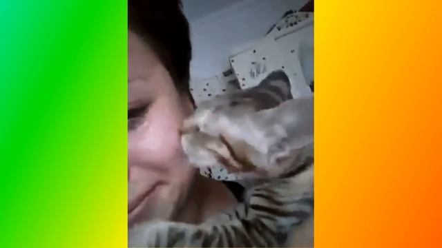 Прикольные животные смотреть онлайн