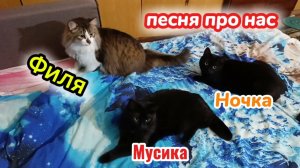 Песня про кошек, про нас. 
Филя, Мусика, Ночка.