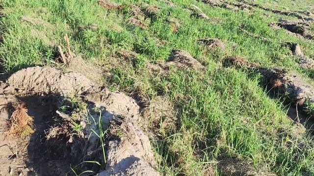 Benjamin Kratos 6,35 мм.. Пострелял в мишень.