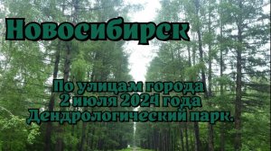 Новосибирск/ По улицам города/ 2 июля 2024 года/ Дендрологический парк.