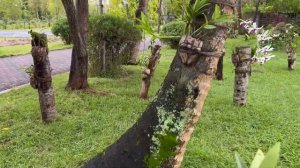 МАЛЬДИВЫ! ОБЗОР ОТЕЛЯ 5 ⭐️. Вилла Парк (Sun Island Resort)