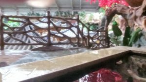 Китай. Янцзы. Термальные источники Пияньшань.