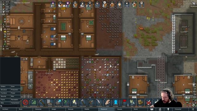 Панда vs. Rimworld v1.3 - Episode 53 смотреть онлайн