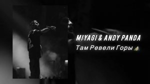 Miyagi & Andy Panda - Там Ревели Горы ( REMIX )