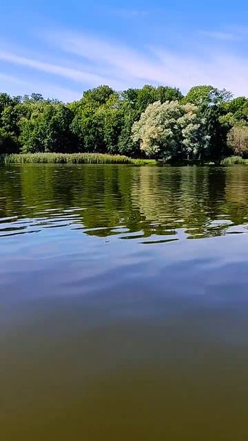 Несвижский замок. Вид с озера. Беларусь. смотреть онлайн