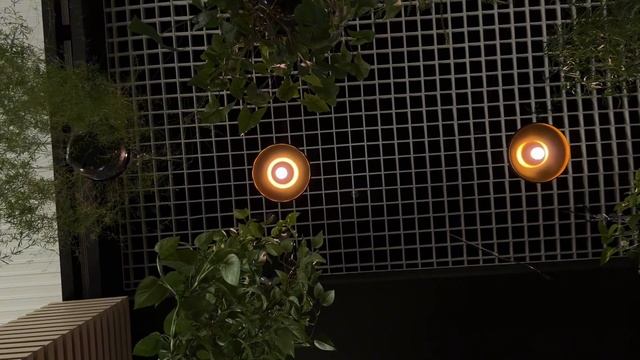 Идея для прогулки в Петербурге в холодную апрельскую ? смотреть онлайн