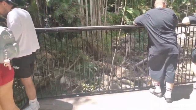 Cокровища горы Тамборин . А у нас есть и получше. Живу в смотреть онлайн