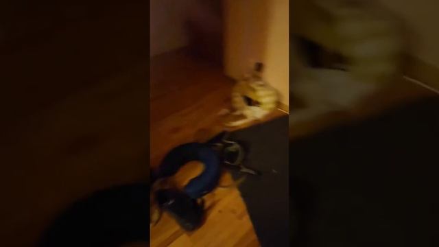 фильм doors сезон 3 серия 2 смотреть онлайн