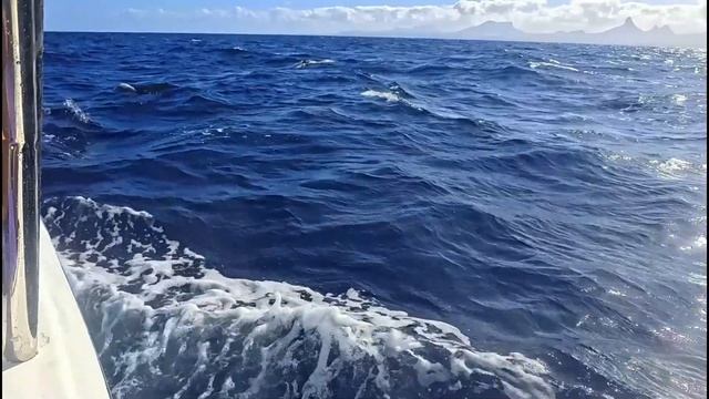 МАВРИКИЙ  ЛУЧШИЙ ОТДЫХ | Часть 2 | В ПОИСКАХ КИТОВ #mauritius