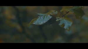 Феликс Красиловский " Горе горькое "