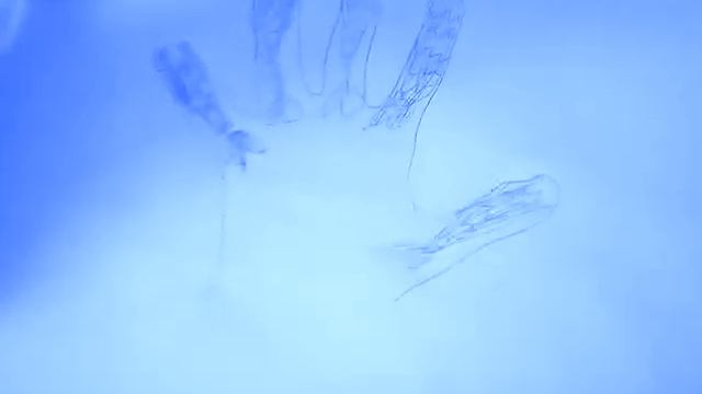 Семья пальцы энгри бёдердс (часть 3 ) смотреть онлайн
