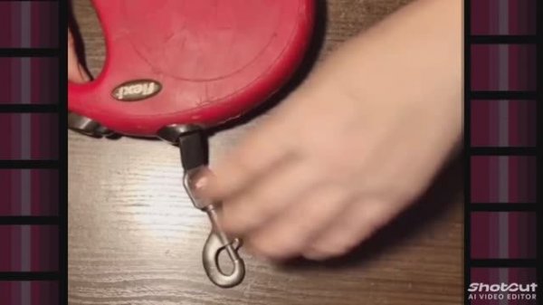 Ремонт рулетки поводка для собаки
