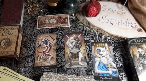 Обучение таро Безумной Луны