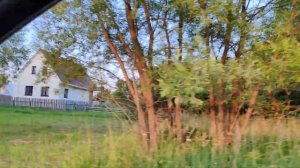 Николаевское. Касимовский р-н. Рязанская обл