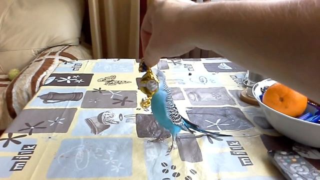 Несностный КОКО смотреть онлайн