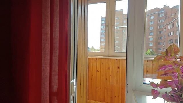 1000017144.mp4 смотреть онлайн