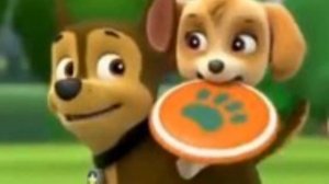 Гонщик и Скай любовь, которую не возможно описать.