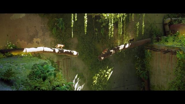 Stray - мое начало