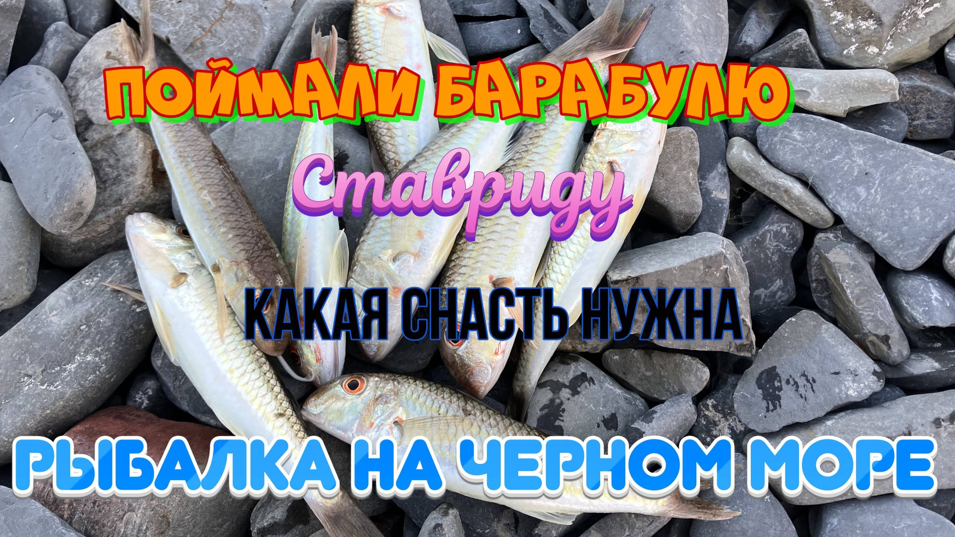 Поймали барабулю и ставриду с берега на бомбарду и тирольскую палочку смотреть онлайн
