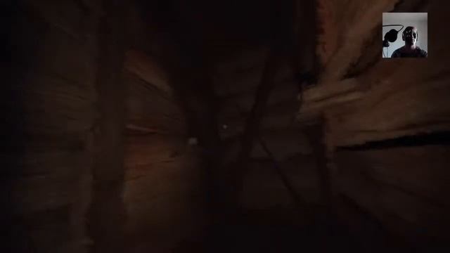 AmongtheSleep-1 серия-очень странный мишка смотреть онлайн