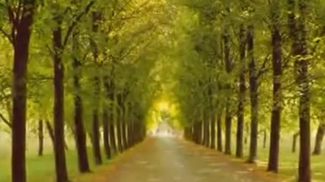 Модный тренд - золото на черном, изделия своими руками, сделано на заказ. смотреть онлайн