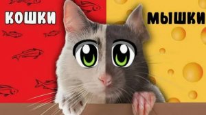 А ну-ка Давай-ка： КОШКИ-МЫШКИ (Официальный Клип)
