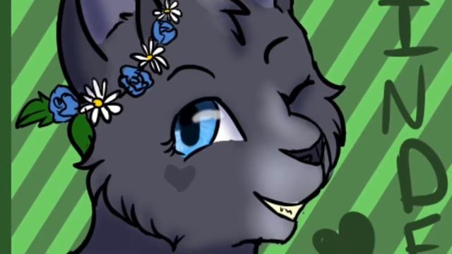 Пепелица и Листвичка смотреть онлайн