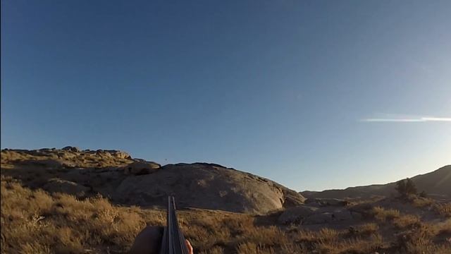 Открытие охоты. Охота на кеклика в горах Узбекистана смотреть онлайн