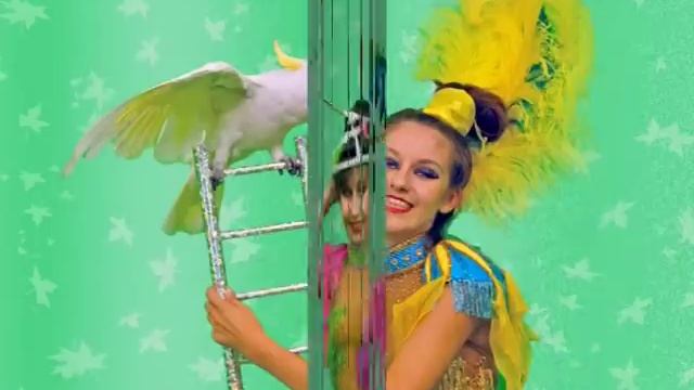 Дрессированные попугаи (слайд шоу) смотреть онлайн