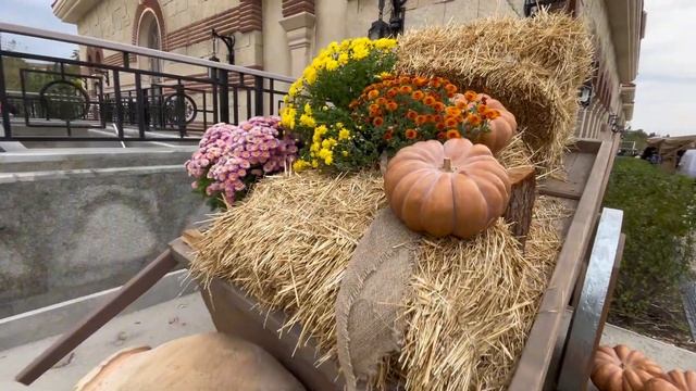 НОВЫЙ ХЕРСОНЕС В СЕВАСТОПОЛЕ, ОБЗОР ТЕРРИТОРИИ КОМПЛЕ смотреть онлайн