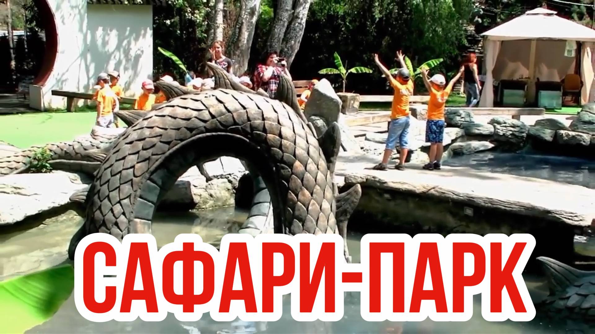 Сафари-парк в Краснодаре для детей 🦁 встреча с экзотическими животными смотреть онлайн