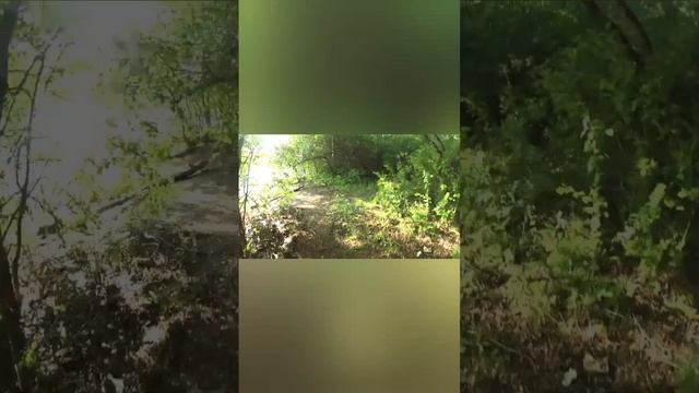 атмосферного дня