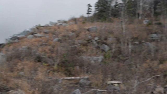 Осенний Пидан (Ливадийская) смотреть онлайн