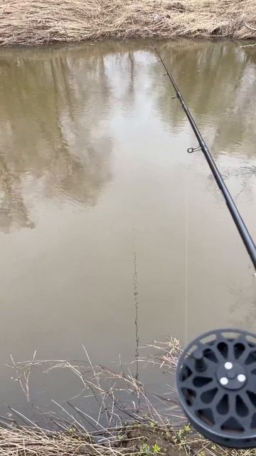 Рыбалка-разведка. В проводку на малой подмосковной реке. смотреть онлайн