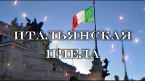 Пчела итальянка Достоинства и недостатки Продуктивность