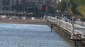 "JAZ MIRABEL BEACH RESORT Шарм-эль-Шейх | Обзор отеля, Пляж, Питани?