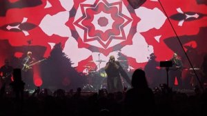 АЛИСА. Отпетый и опасный. 16.11.2024. Санкт-Петербург.